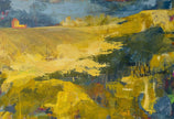 Wide Open Spaces