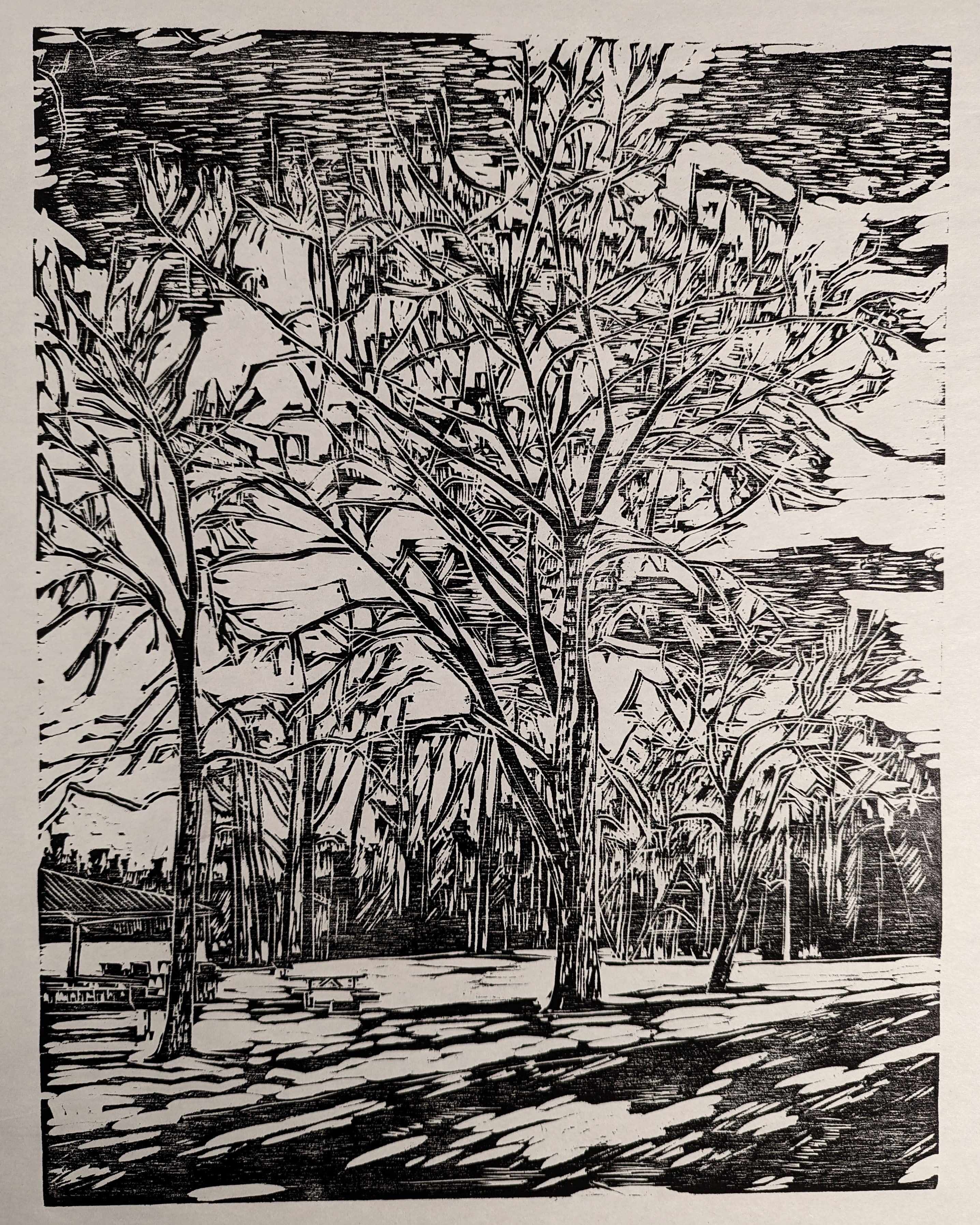 Old Balsam Poplars in Laurier Park, Edmonton 12.5x16